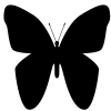 butterfly.gif (8378 bytes)