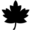 leaf.gif (6562 bytes)